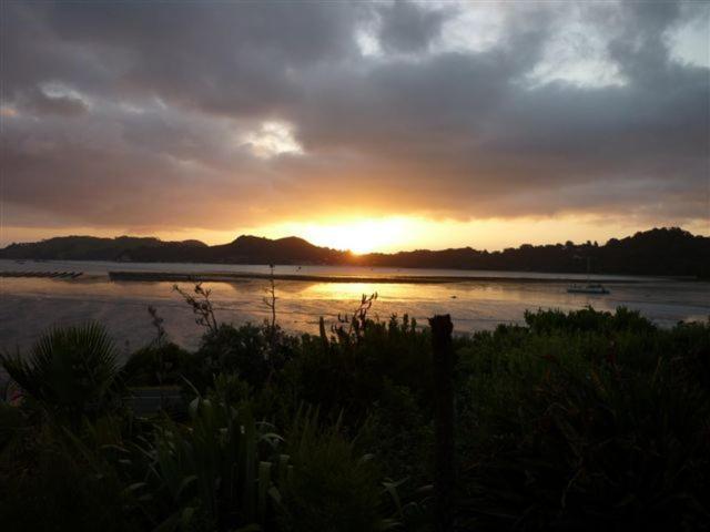 Harbour View Motel Coromandel Kültér fotó